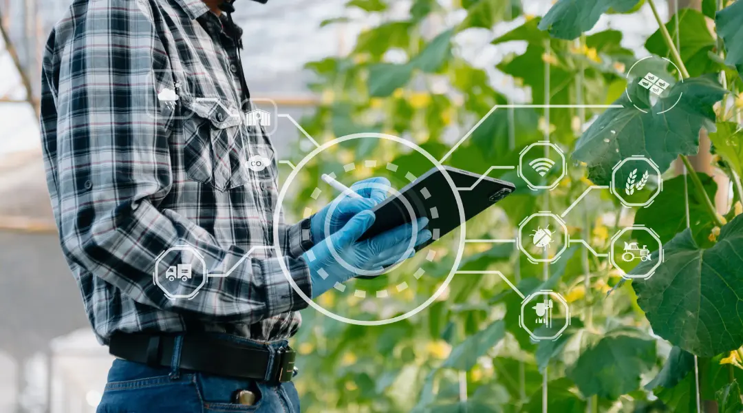 スマート農業とは？普及する上での課題や取り組み事例について解説！